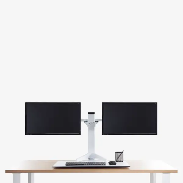 Dual Balance Workstation